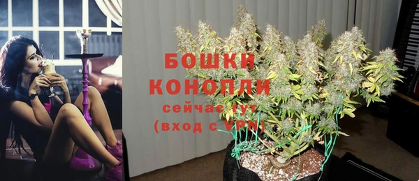 гидропоника Магас