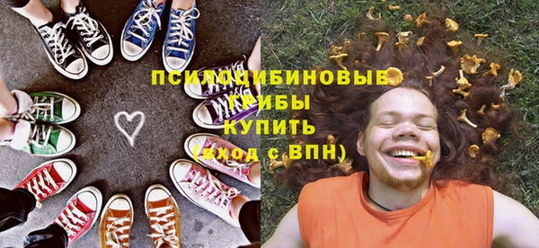 гидропоника Магас